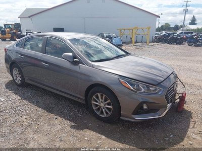 5NPE24AFXKH****** 2019 Hyundai Sonata