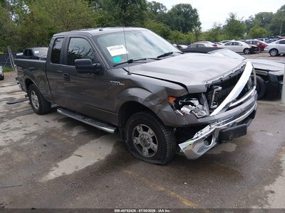 1FTFX1EF9DK****** 2013 Ford F-150