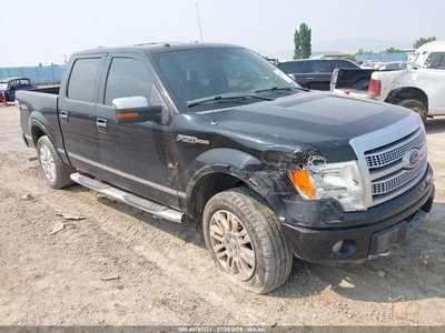 2009 Ford F-150