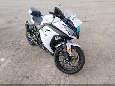 JKAEX8A12HD****** 2017 Kawasaki Ninja 300
