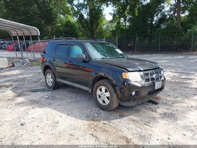 2010 Ford Escape