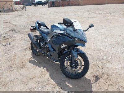 2024 Kawasaki EX500