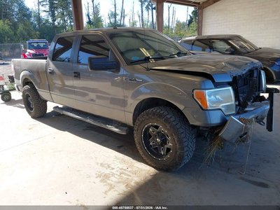 1FTFW1EV0AF****** 2010 Ford F-150