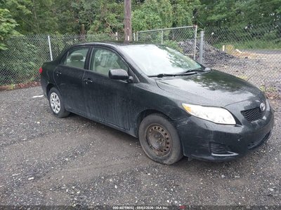 1NXBU40E49Z****** 2009 Toyota Corolla