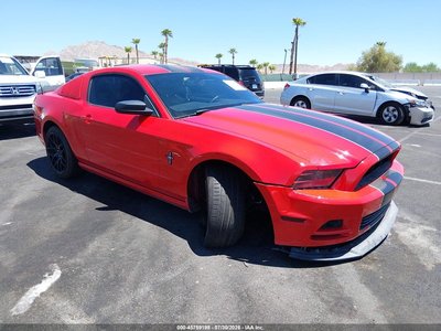 1ZVBP8AM5D5****** 2013 Ford Mustang