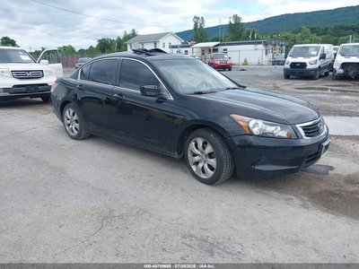 2010 Honda Accord