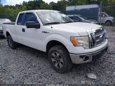 2010 Ford F-150