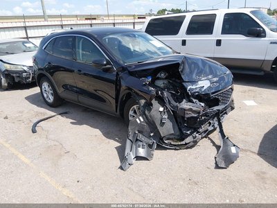 1FMCU0G66MU****** 2021 Ford Escape