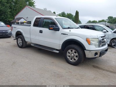 2009 Ford F-150