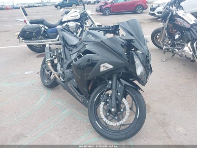 2014 Kawasaki Ninja 300