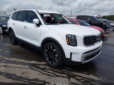 5XYP5DGC7RG****** 2024 Kia Telluride
