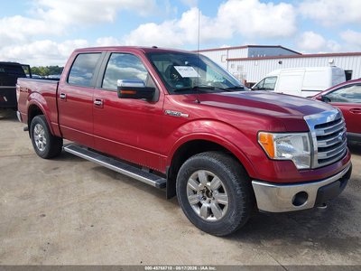 1FTFW1EF7DK****** 2013 Ford F-150