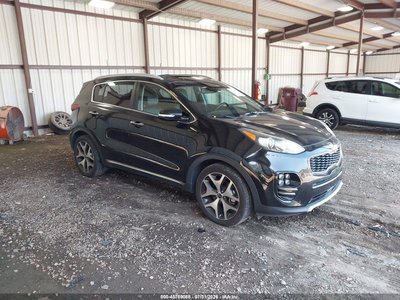 KNDPR3A67H7****** 2017 Kia Sportage
