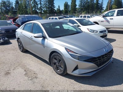 5NPLM4AG7PH****** 2023 Hyundai Elantra