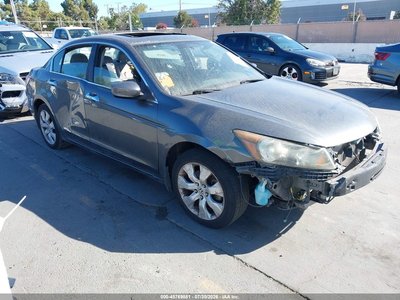 2010 Honda Accord