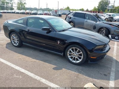 1ZVBP8AN6A5****** 2010 Ford Mustang