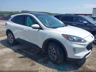1FMCU9H67MU****** 2021 Ford Escape