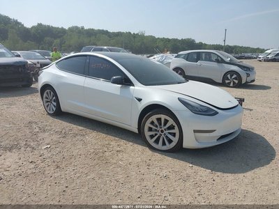 5YJ3E1EB2LF****** 2020 Tesla Model 3