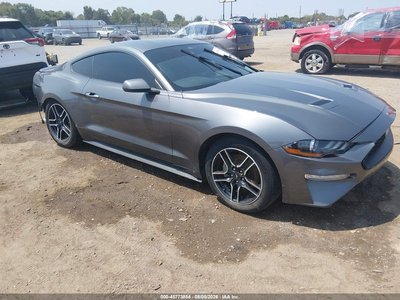 1FA6P8TH7N5****** 2022 Ford Mustang