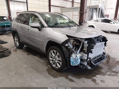 JTMN1RFV1KD****** 2019 Toyota RAV4