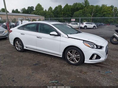 5NPE34AF6KH****** 2019 Hyundai Sonata