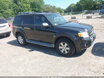2010 Ford Escape