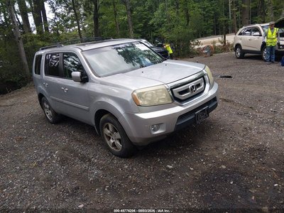 5FNYF4H72BB****** 2011 Honda Pilot