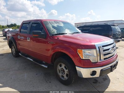 1FTFW1CV0AF****** 2010 Ford F-150