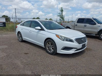5NPE24AF1GH****** 2016 Hyundai Sonata