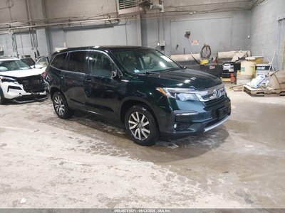 5FNYF6H38KB****** 2019 Honda Pilot