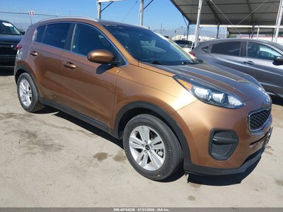 KNDPM3AC6K7****** 2019 Kia Sportage