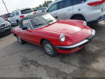 ZARBA5648H1****** 1987 Alfa Romeo Spider