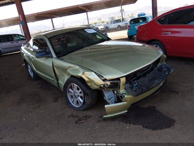 1ZVFT80N065****** 2006 Ford Mustang