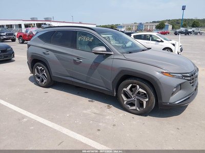 5NMJE3DE3RH****** 2024 Hyundai Tucson