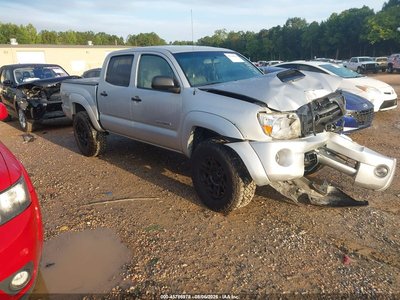 3TMLU42N89M****** 2009 Toyota Tacoma
