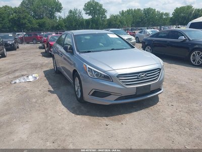 5NPE24AF7GH****** 2016 Hyundai Sonata