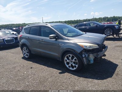 1FMCU0JX8EU****** 2014 Ford Escape