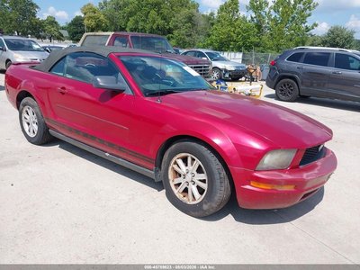 1ZVHT84N285****** 2008 Ford Mustang