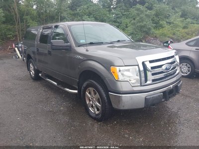 2009 Ford F-150