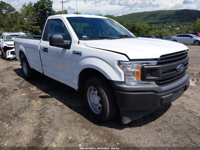 1FTMF1CB6KK****** 2019 Ford F-150