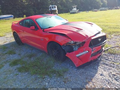 1FA6P8CF9K5****** 2019 Ford Mustang