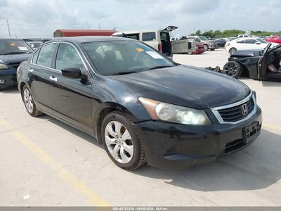 2010 Honda Accord