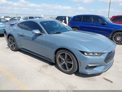 1FA6P8TH2R5****** 2024 Ford Mustang