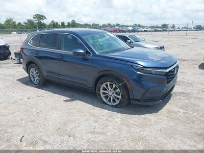 2HKRS4H75RH****** 2024 Honda CR-V
