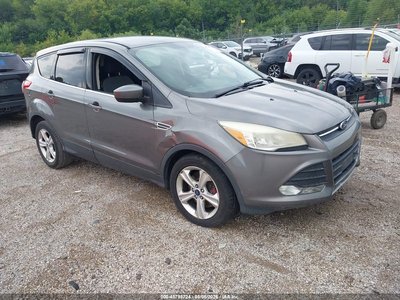 1FMCU0G98EU****** 2014 Ford Escape