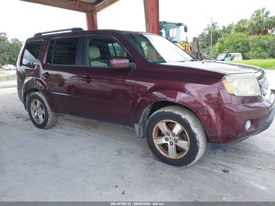 5FNYF48419B****** 2009 Honda Pilot