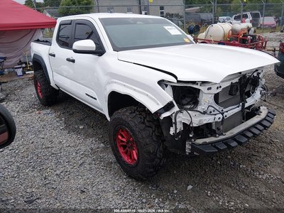 3TMLB5JN6RM****** 2024 Toyota Tacoma