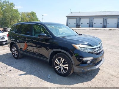 5FNYF6H54GB****** 2016 Honda Pilot