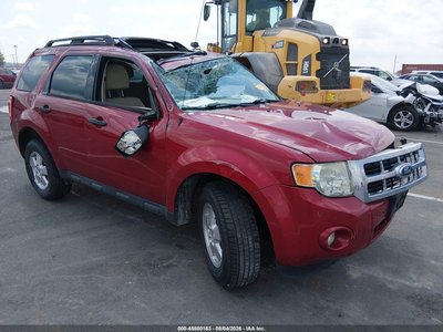 1FMCU0D74BK****** 2011 Ford Escape