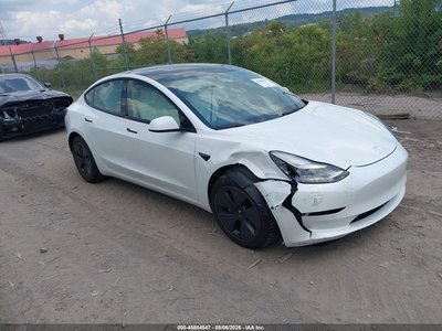 5YJ3E1EB1MF****** 2021 Tesla Model 3